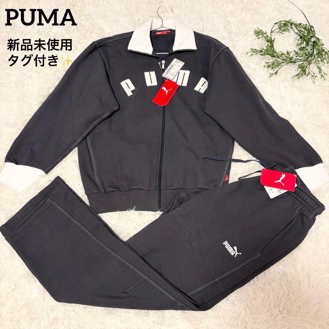 【新品未使用タグ付✨】PUMA スウェット上下セット L グレー PUMA（プーマ） 上下セット メンズ クルートレーナー/スウェットパンツ