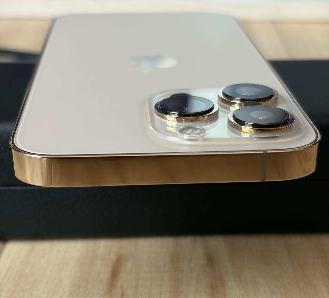 Apple iPhone 13 Pro 値下げ交渉可 - メルカリ