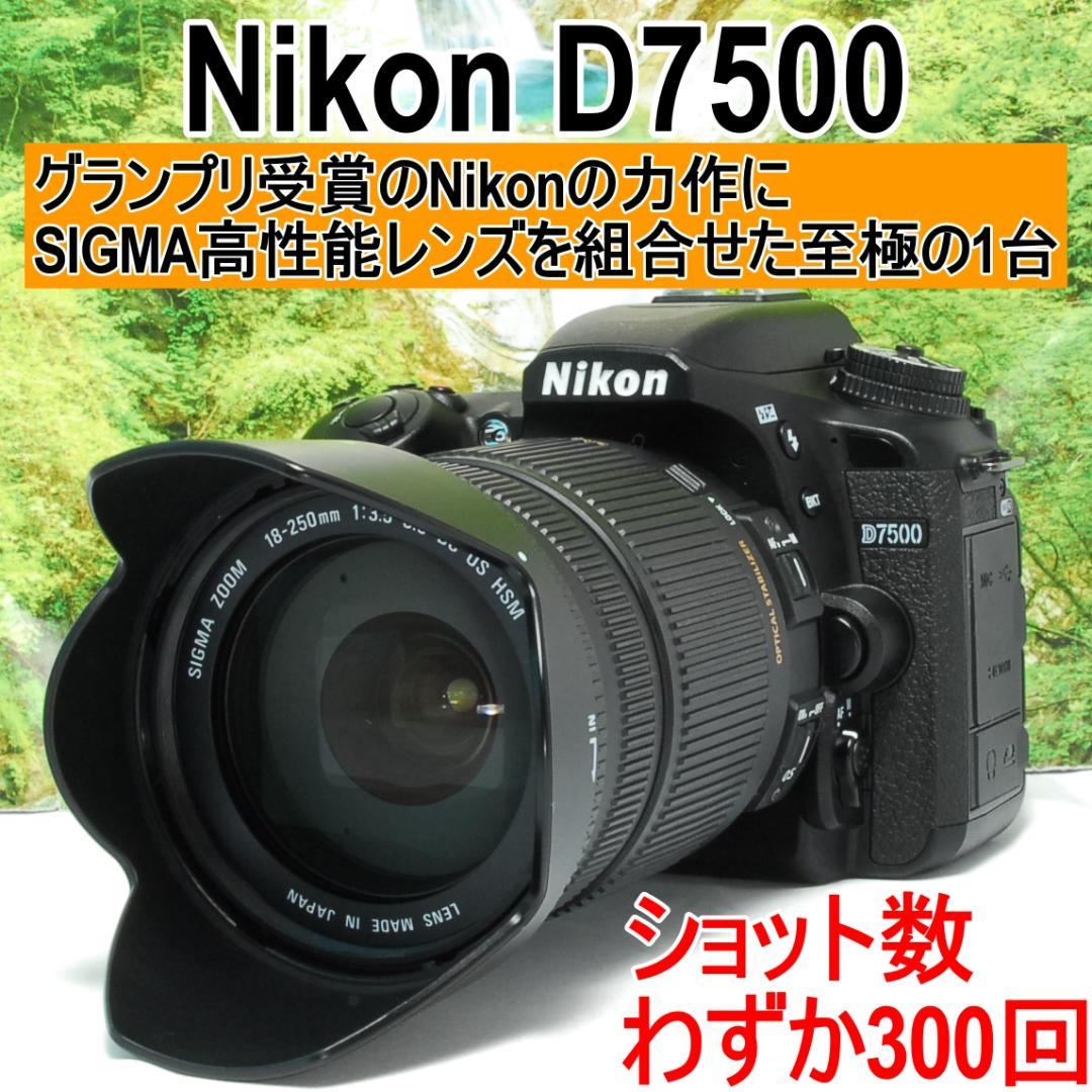 なおページ Rimless Butterfly Sunglasses