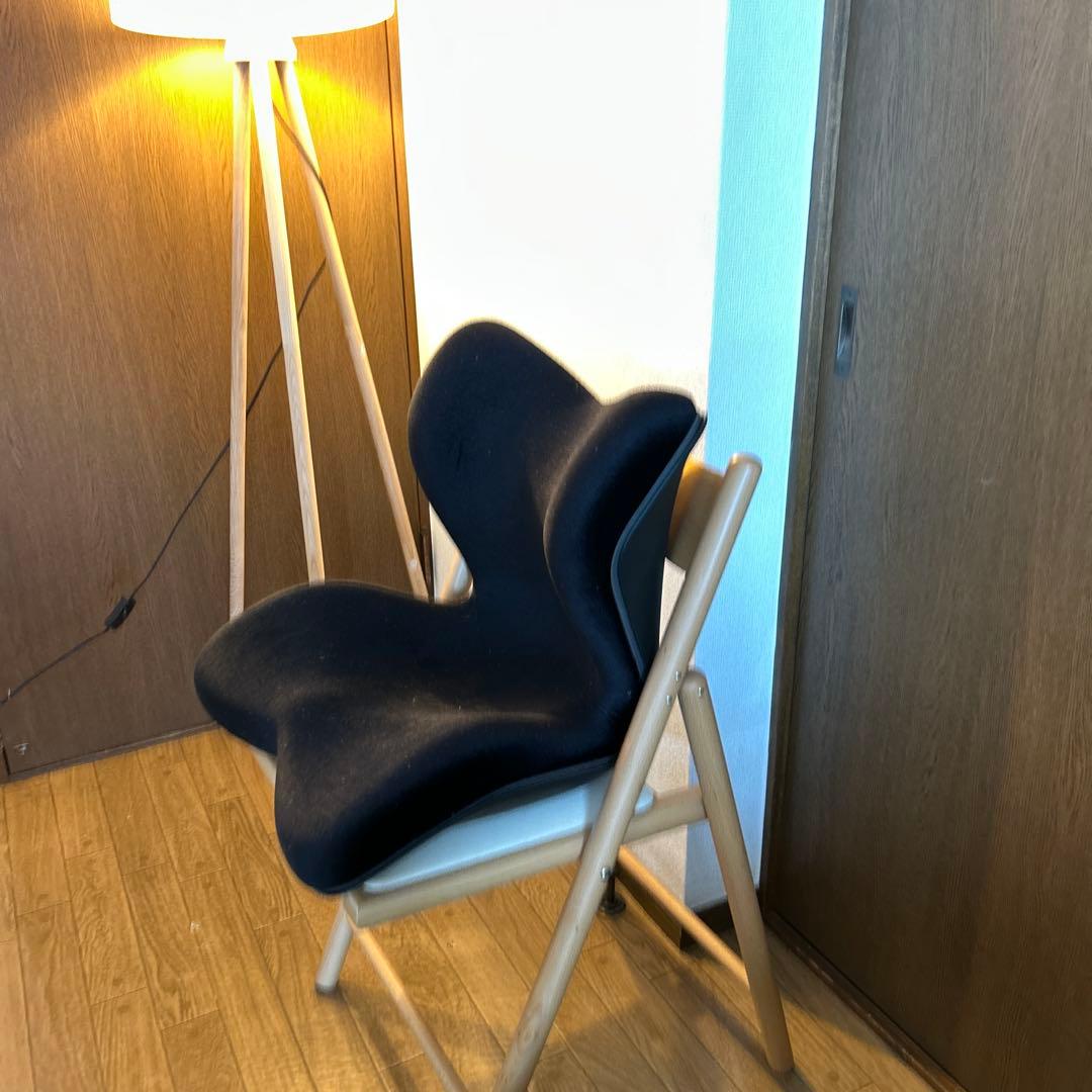 MTG スタイル プレミアム 骨盤サポートチェア ブラック スタイルプレミアム MTG ブラック 姿勢 テレワーク】スタイル