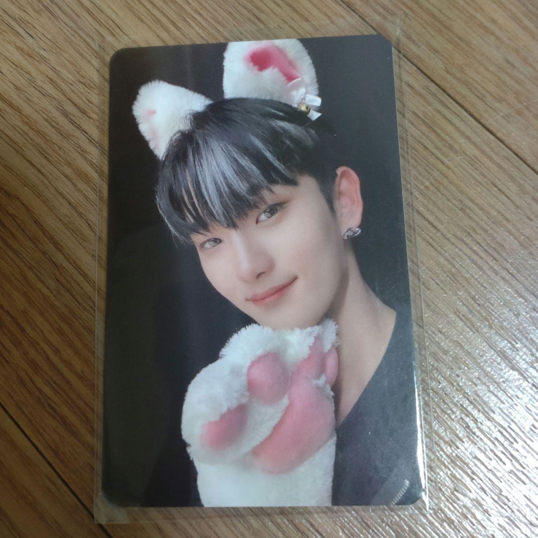 n.SSign デビューショーケース 猫トレカ 【ジュニョク】