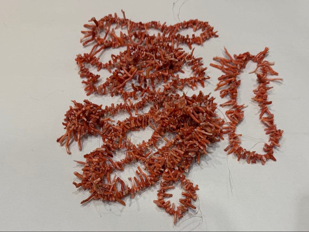 \"希少\" 珊瑚　ネックレス