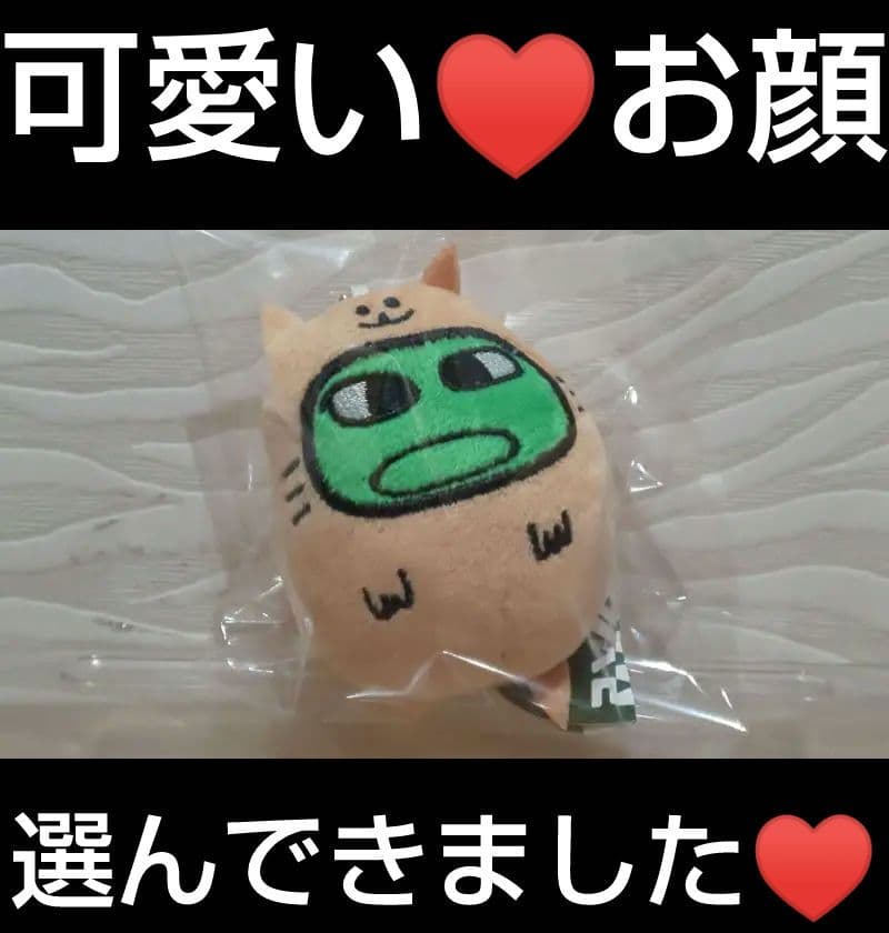 マエスケ MAESUKE ブルブルぬいぐるみ マスコット モーリー