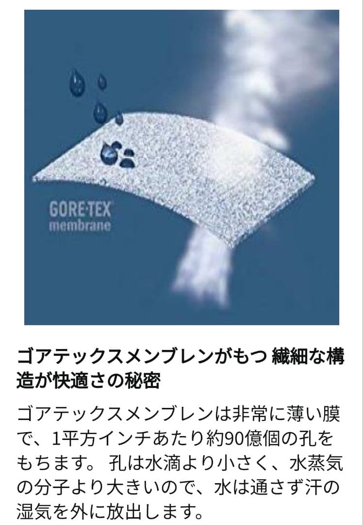 初期限定モデル ゴアテックス 日本製 アシックス asics 安全靴 27cm