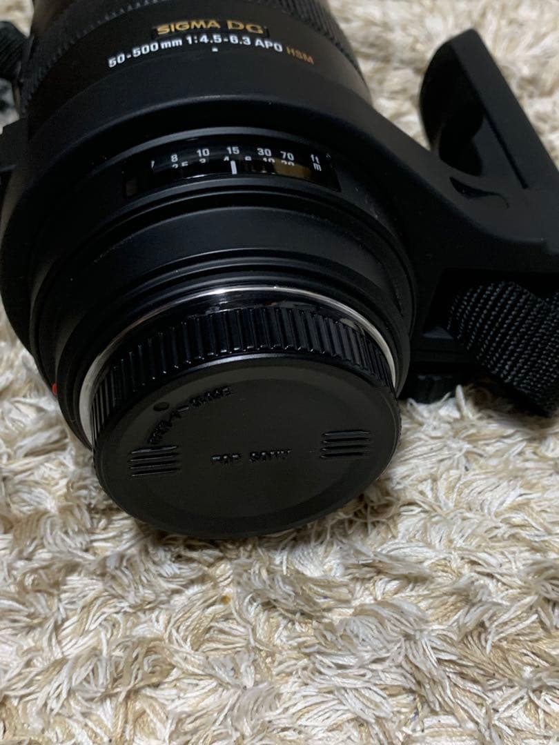 SIGMA 50-500mm F4.5-6.3 APO DG OS レンズ