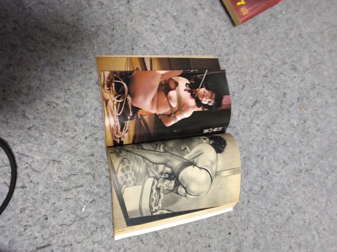 ★入手困難★匿名配送 昭和レトロ S&Mコレクター16冊 団鬼六、春川ナミオ他