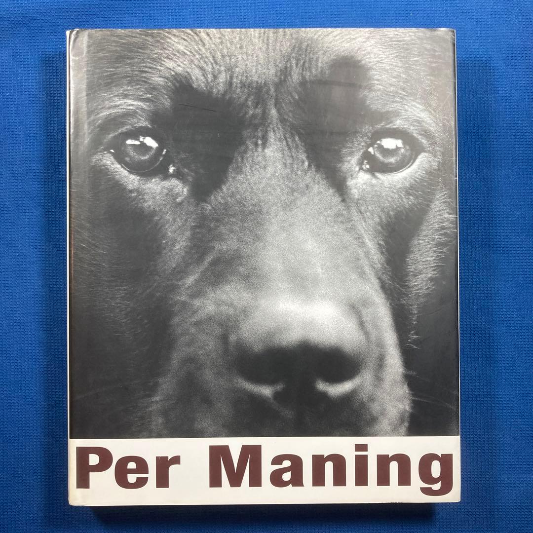 アート・デザイン・音楽 Per Maning Dreams Without Meaning | ブラジル404 | ZX Spectrogram