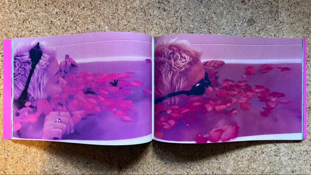 長島有里枝写真集YURIENAGASHIMA1995年初版帯付 - メルカリ