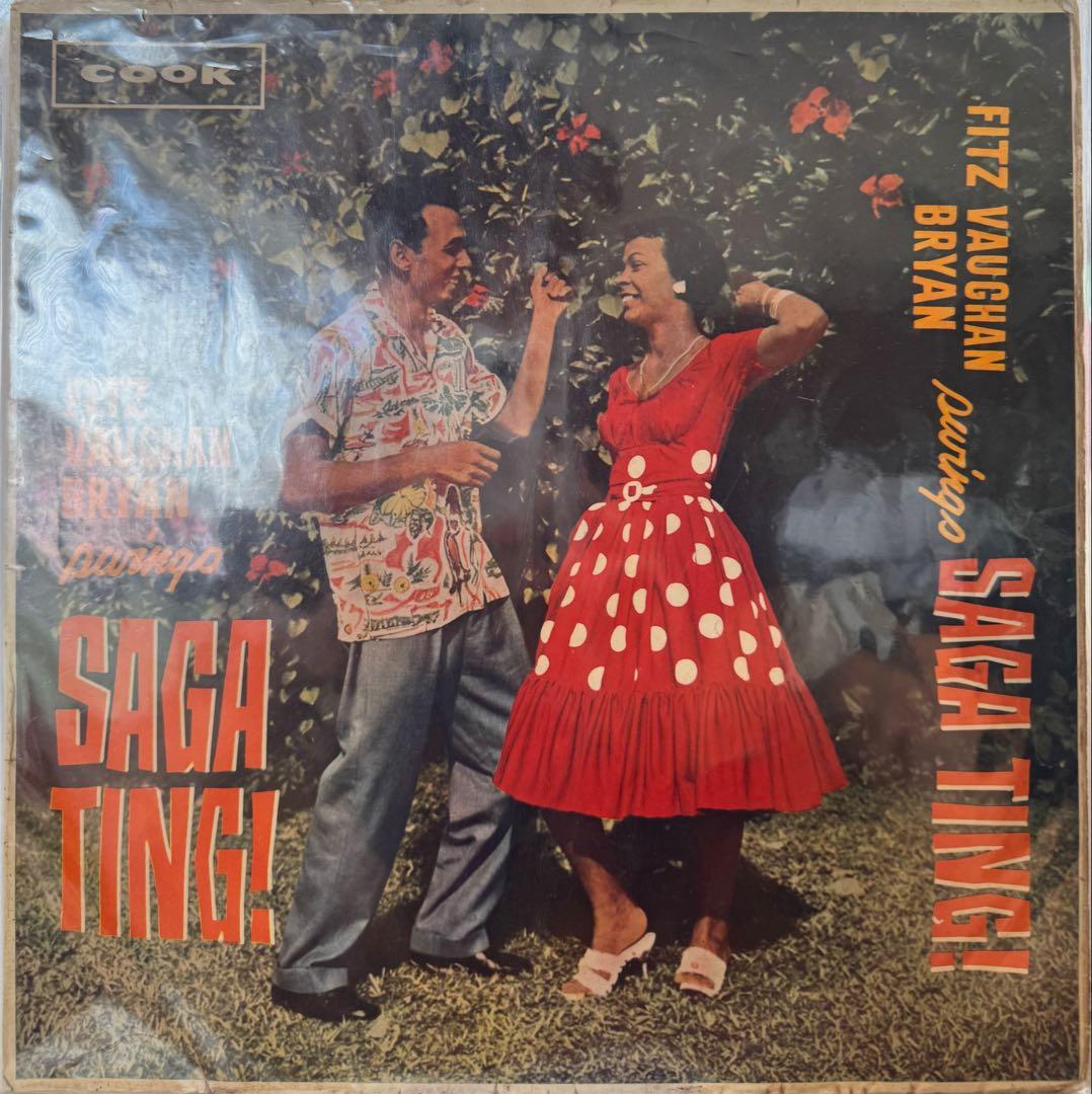 洋楽 Fitz Vaughan Bryan - Saga Ting! 3/21発売CD3枚組インストゥルメンタル作品集『Complete NIAGARA SONG