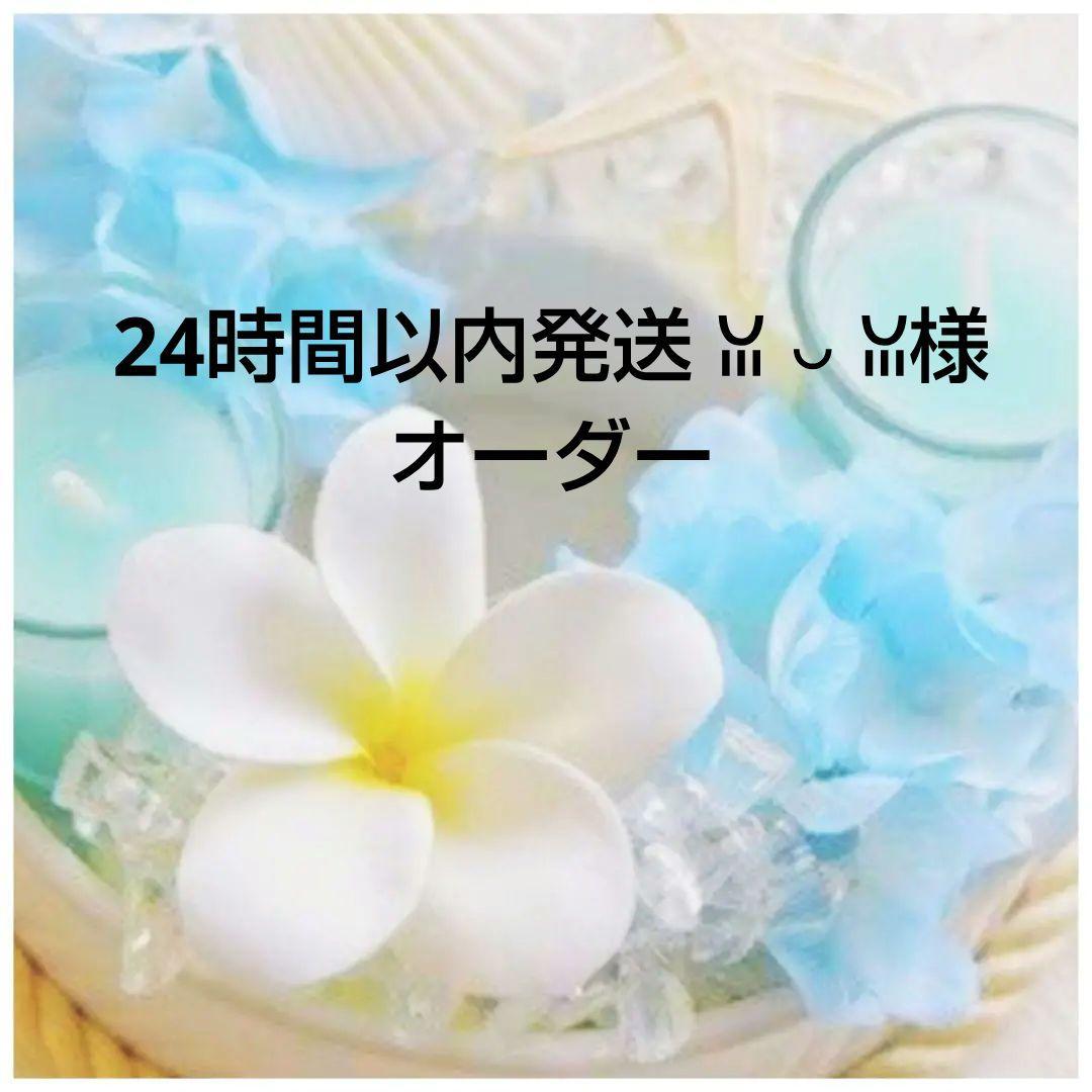 オーダー★　レジン猫チャーム　猫キーホルダー　まねき猫　ぐで猫　ミニチュアフード imgrc0132376260.jpg