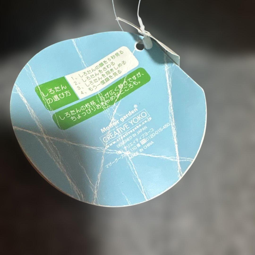 タグ付 小麦色にへんしん しろたんだきぐるみ♡日焼けぬいぐるみ