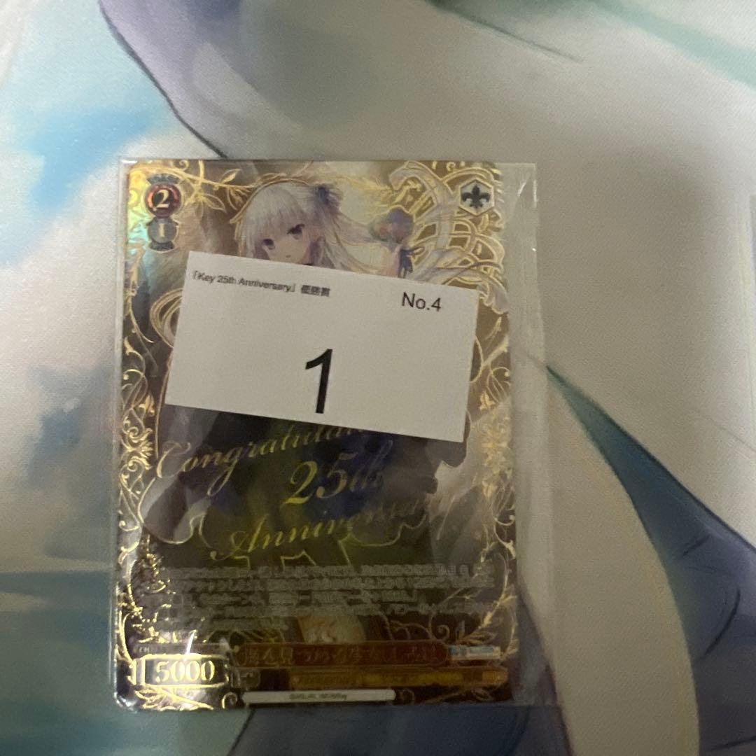 海を見つめる少女しろは　PR+ 冬の到来　しろは＆うみ　PR Key CX優勝賞