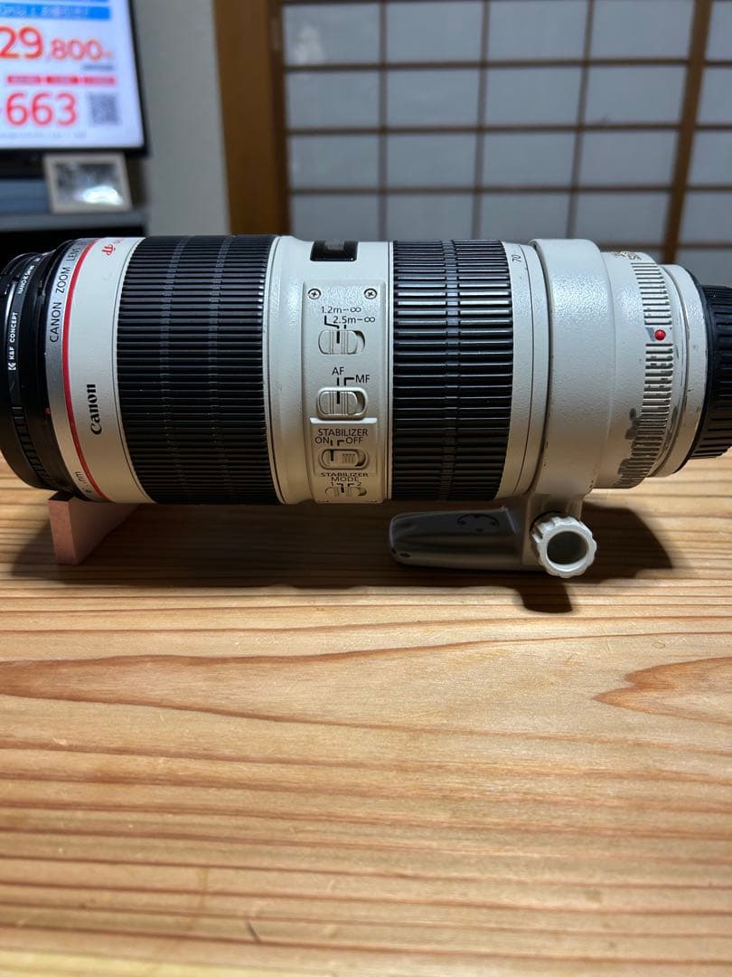 CanonEF70-200 f2.8L IS Ⅱ USM Canon EF 70-200mm f/2.8L IS II USM Lens Review