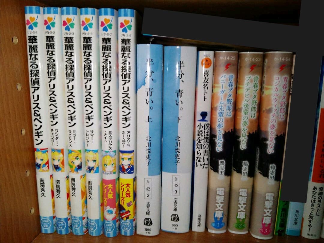 小説 バラ売り