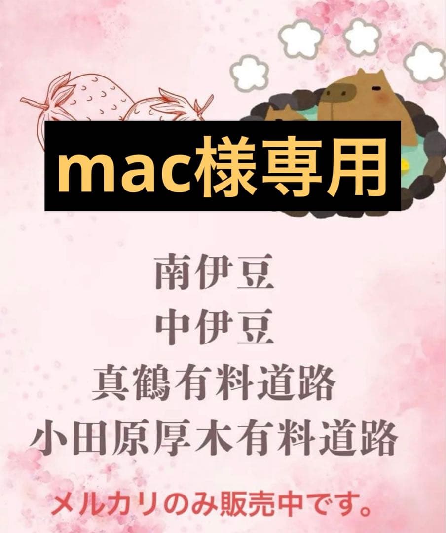 南伊豆豆・中伊豆豆・健康本 南伊豆豆・中伊豆豆・健康本 南伊豆豆・中伊豆豆・健康本 南伊豆豆・中