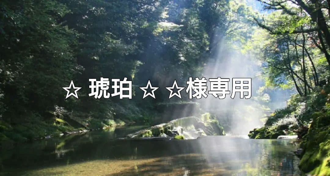 ✰︎‪ 琥珀 ✰ ✰︎✨2本　特典付電磁波防止✨CMCペンダントUSA版 電磁波防止グッズ CMCペンダントC型｜5G対応 ストレス 電磁波ブロック
