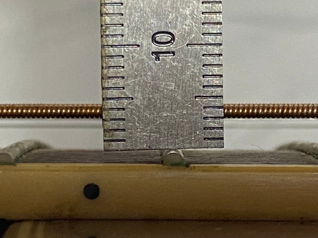 Ibanez エレアコギター AEC24Ⅱ ソフトケース付美品1948-06-1