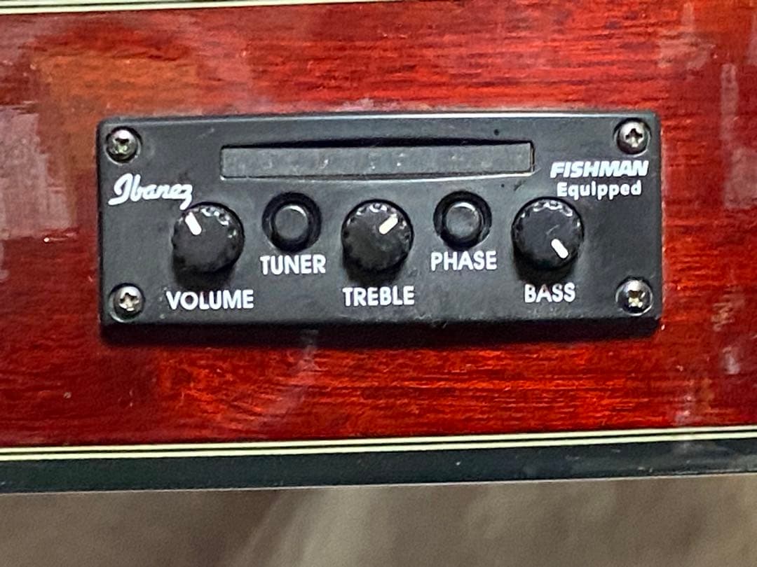 Ibanez エレアコギター AEC24Ⅱ ソフトケース付美品1948-06-1