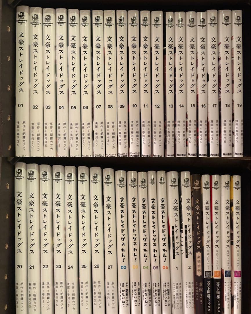 文豪ストレイドッグス 1〜27巻 既刊全巻+関連本12冊セット manga-ronron_bung0002