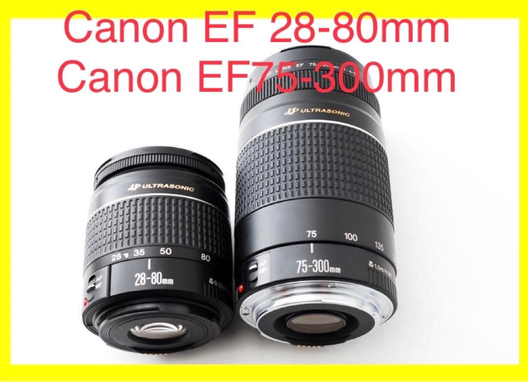 2セット☆Canon EF28-80、Canon EF75-300 標準&望遠