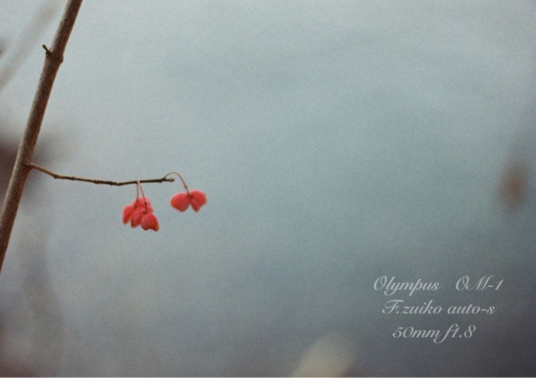 ★★★Andrewさま専用★★★