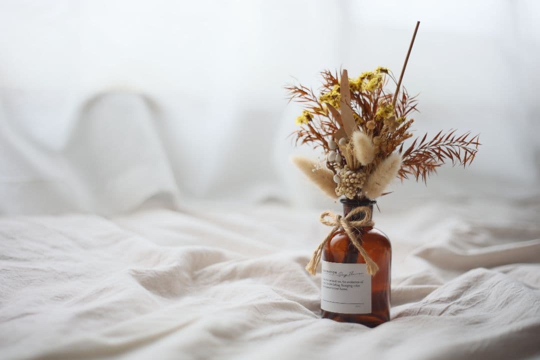 《希少》PENTACON 50mm F1.8 前期型（ⅱ）【光学美品】