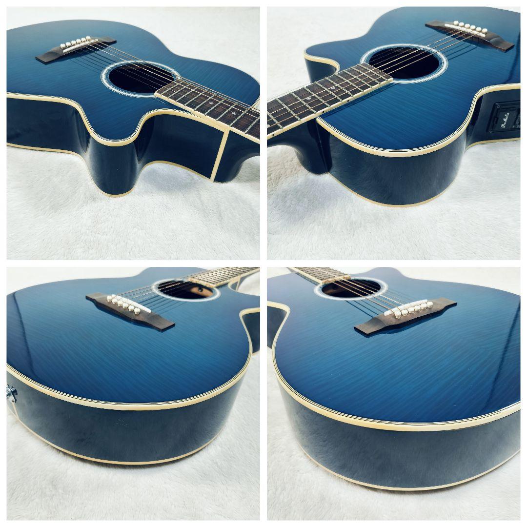 Pro Martin custom タイガーストライプ エレアコ ギター 虎杢