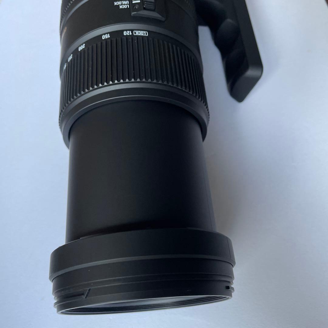 SIGMA 120-400mm F4.5-5.6 APO DG OS ズーム