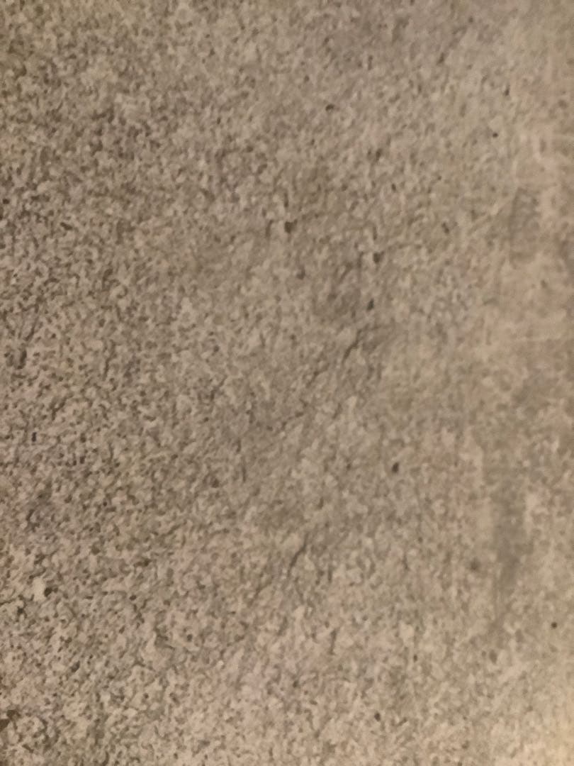 マーチさん専用 Amazon | 1/24 インチアップシリーズ No.1005 NISSAN MARCH(K12 NISMO