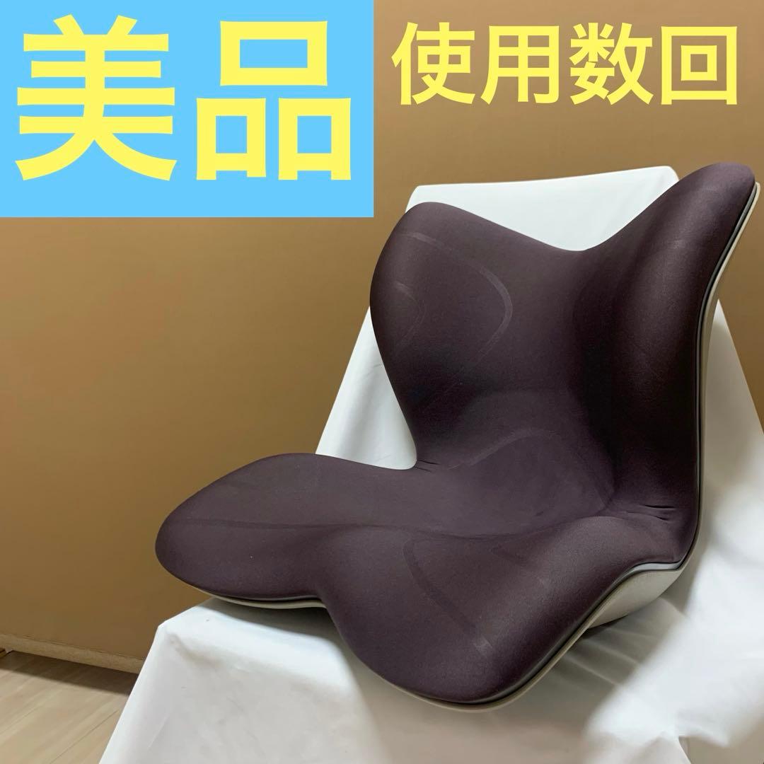 スタイル プレミアム Style PREMIUM 姿勢矯正 骨盤サポートチェア