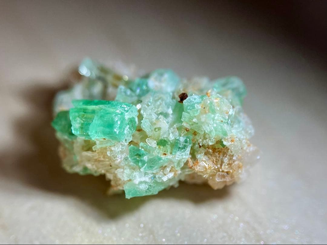 くまさん様 リクエスト 3点 まとめ商品 くまっくま様 くまさま クマ様 ZX様 ゲーム・おもちゃ・グッズ くま様