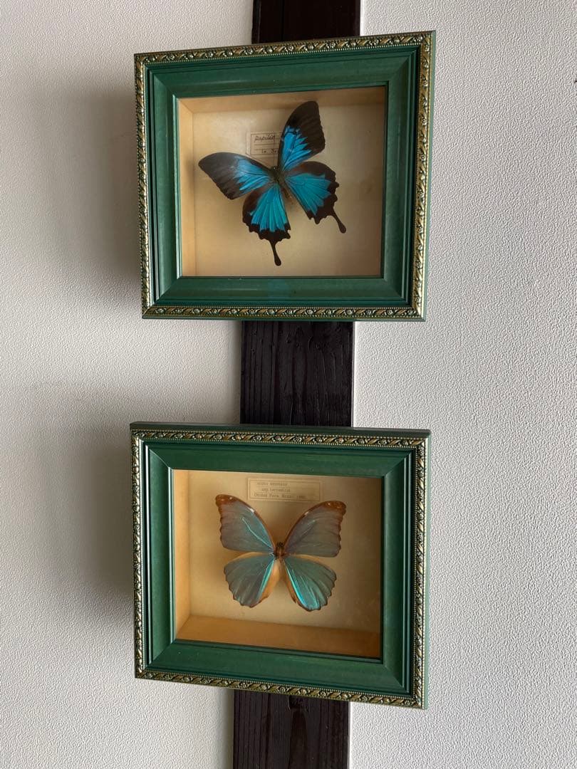 確認ページ ApeosPort-VII C4422/C3322