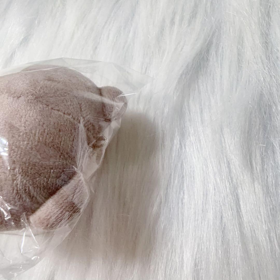 &team エンティーム ユウマ yuma マスター ぬいぐるみ 윰달이 - メルカリ