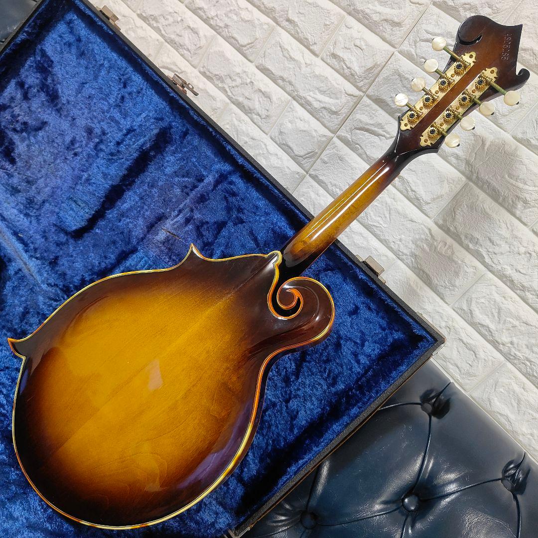 BLUE BELL F-10 マンドリン ブルーベル - メルカリ