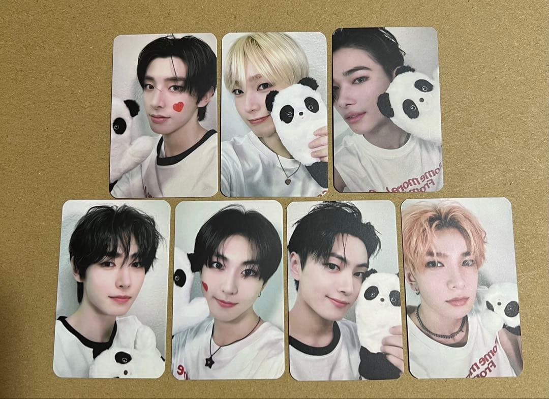 ENHYPEN 中華トレカ パンダ 7枚セット - メルカリ