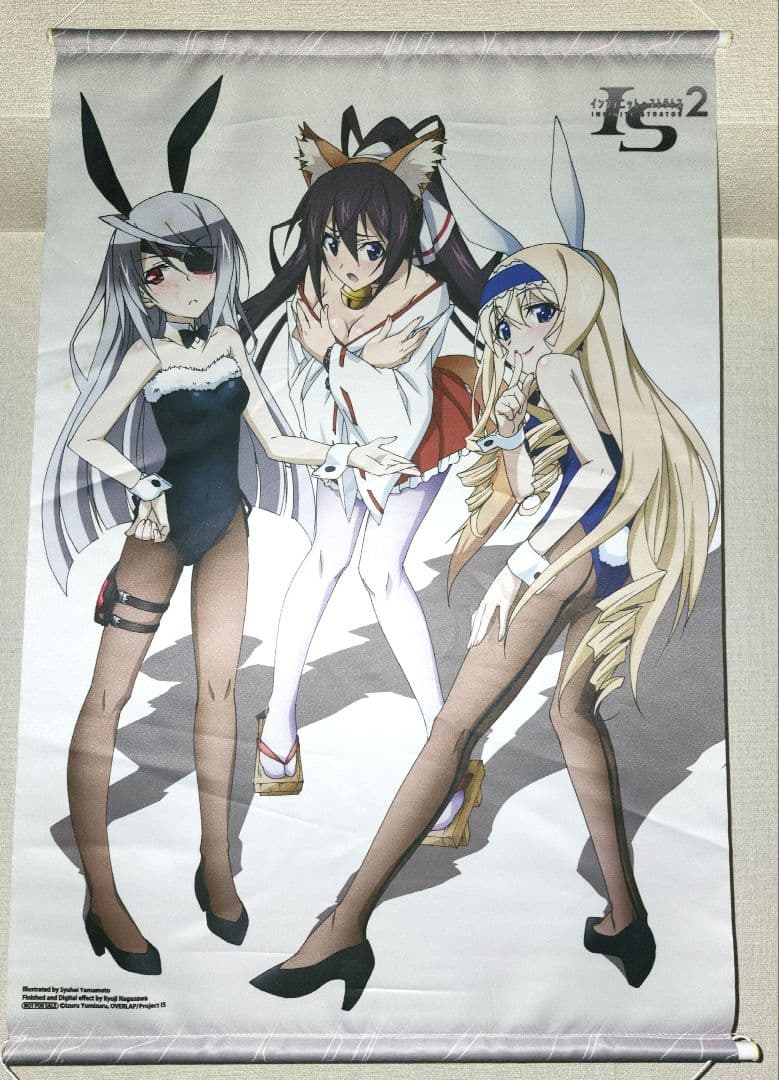 3種セット】IS〈インフィニット・ストラトス〉 タペストリー - メルカリ