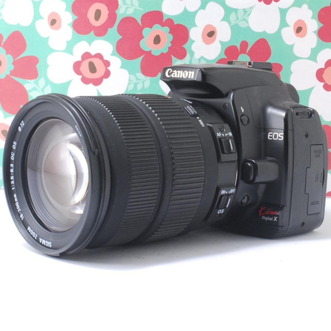 NIKON D7500デジタル一眼レフカメラボディ ショット数27300です。の