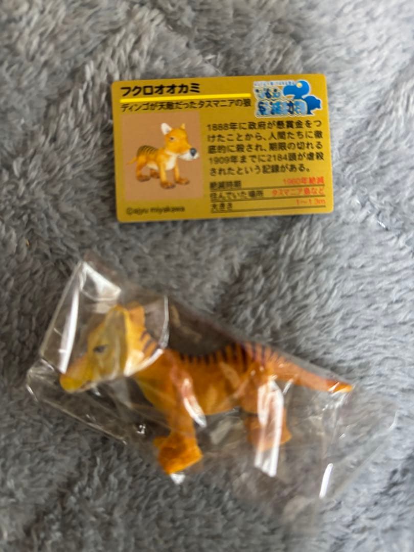 戦え絶滅動物PART2 宮川アジ ドードー マンモス オオカミ アシカ