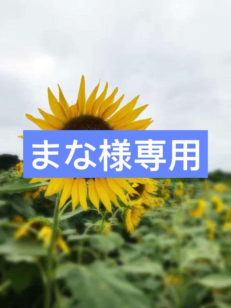 英語絵本24冊 CTP絵本 Learn to Read 24冊セット ＜レベル1-1＞ | 英語教材のctm