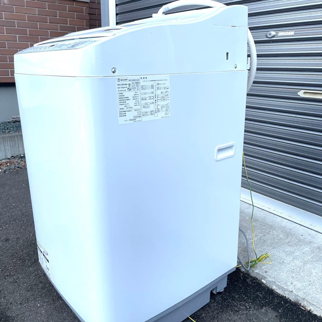 美品使用半年 シャープ 縦型洗濯機 6.5kg ES-TX6H-W 2024年製