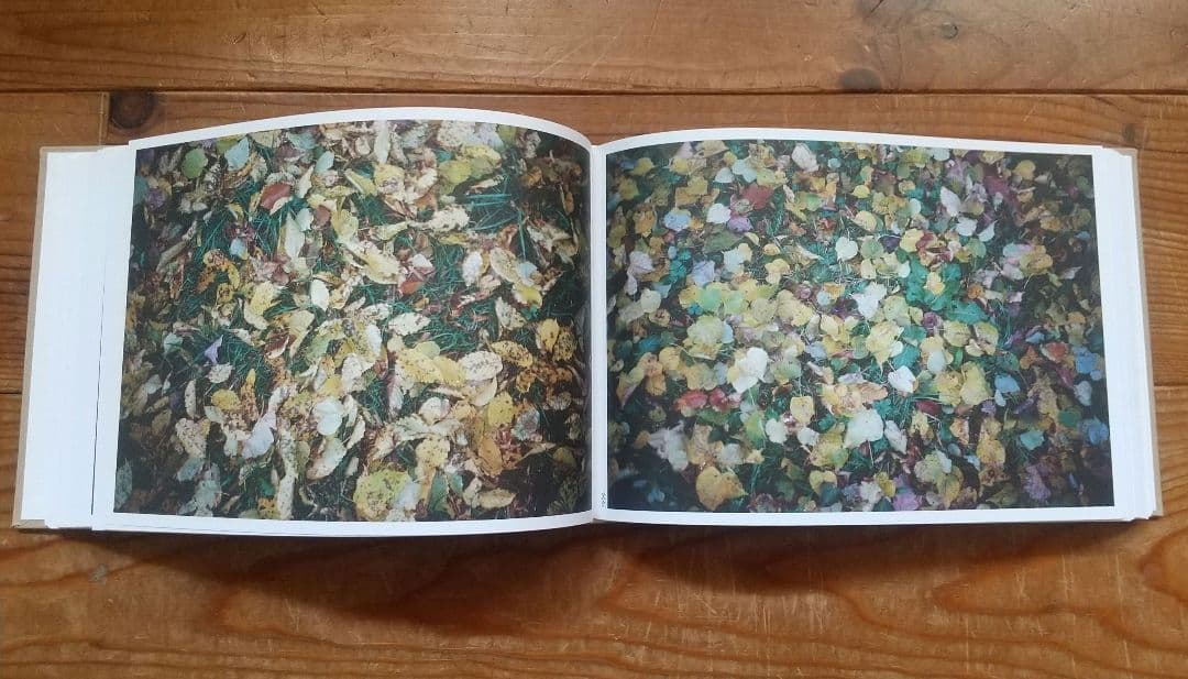 The Meadow Eschenau 1986-2013 tamiser購入