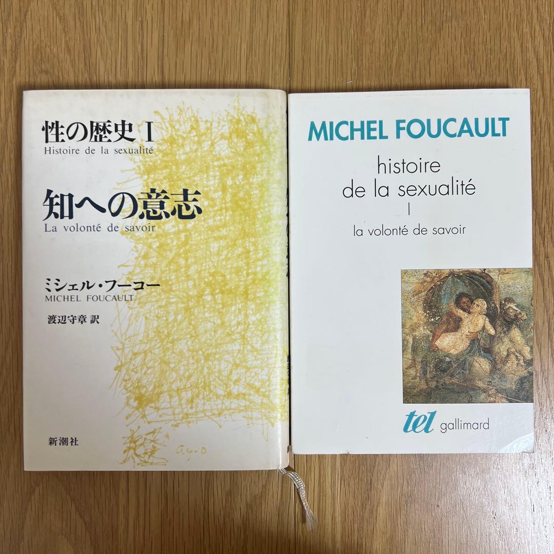フーコー『性の歴史Ⅳ 肉の告白』などのセット