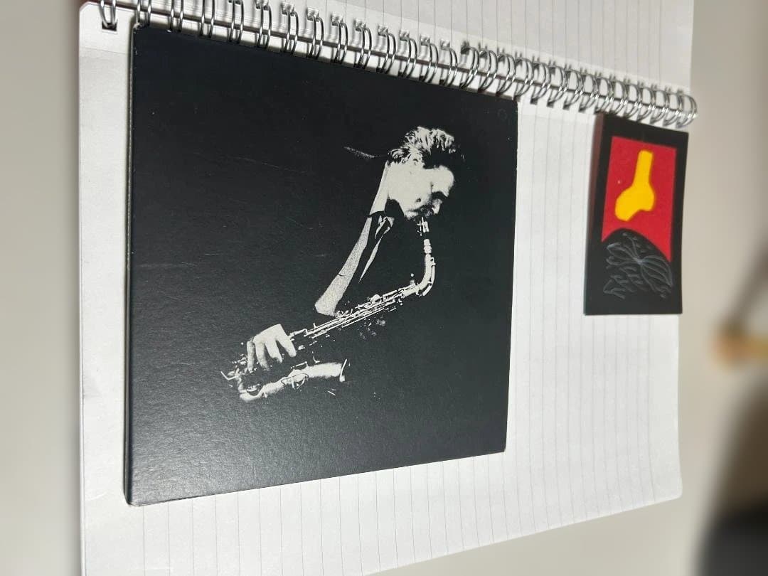 【超希少・紙ジャケ・オリジナル盤】ジェームス チャンスand/Get Down・ JAMES CHANCE & TERMINAL CITY/GET DOWN AND DIRTY!(ジェームス