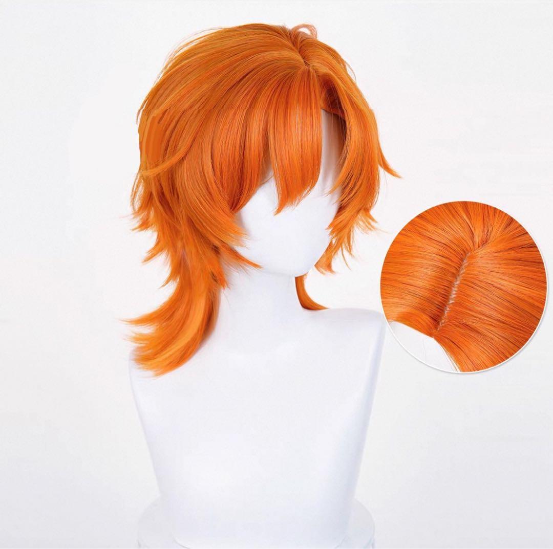 ディズニー ズートピア ニック・ワイルド 長髪 タイプB ウィッグ