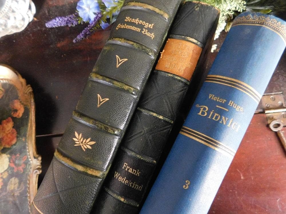 3冊セット.:*゜背表紙が素敵なドイツとチェコの古書 19－20世紀初頭