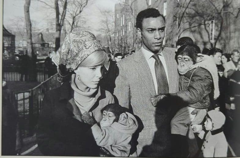 世界写真全集 全12巻揃い 大判写真集 集英社 1982-1984