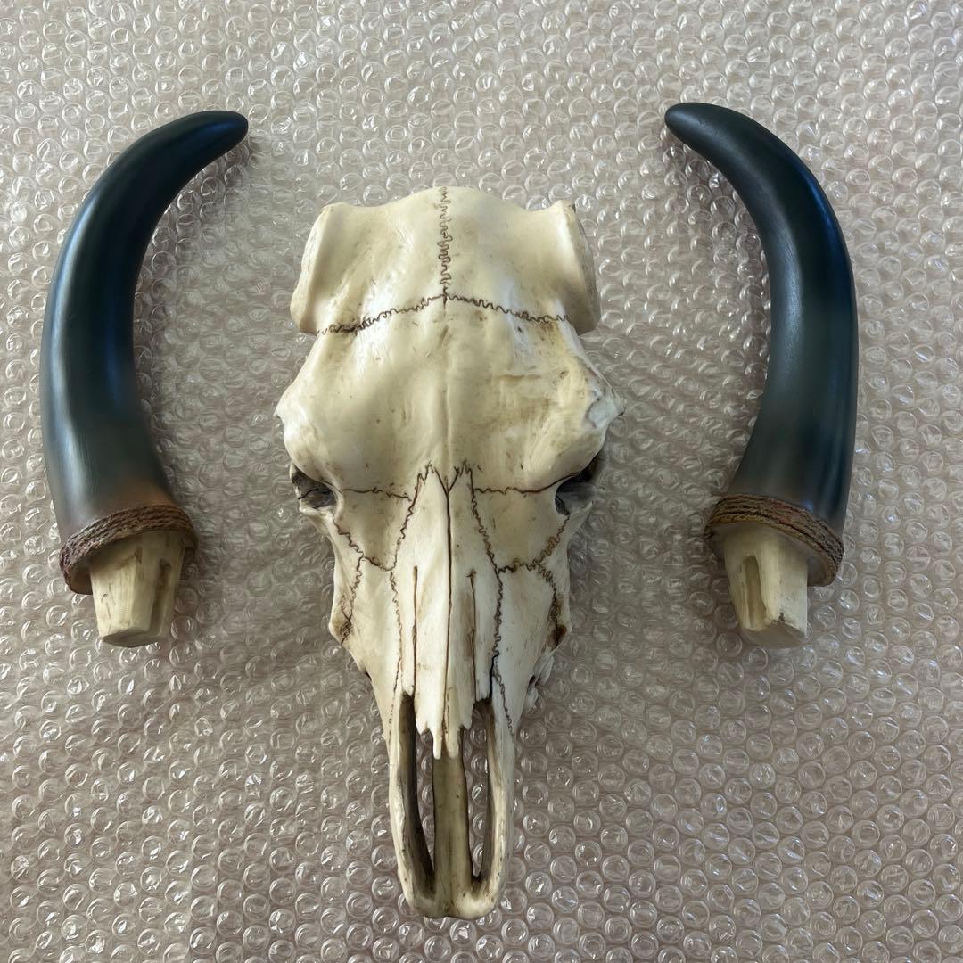 バッファロー スカル ハンティングトロフィー 頭蓋骨 オブジェ 壁掛け