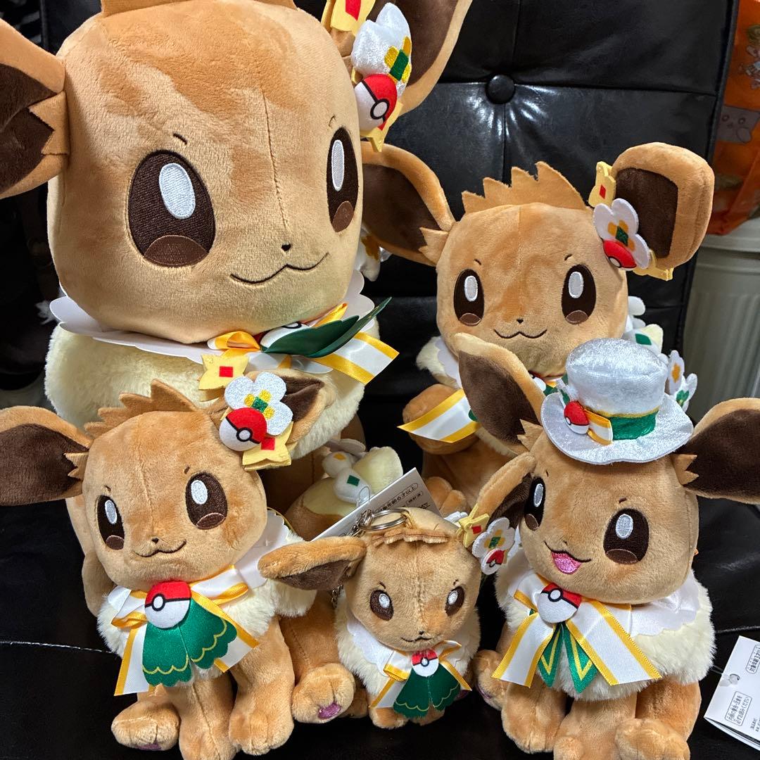 新品 ポケパーク カントー ショップ 限定 イーブイ ぬいぐるみ5体