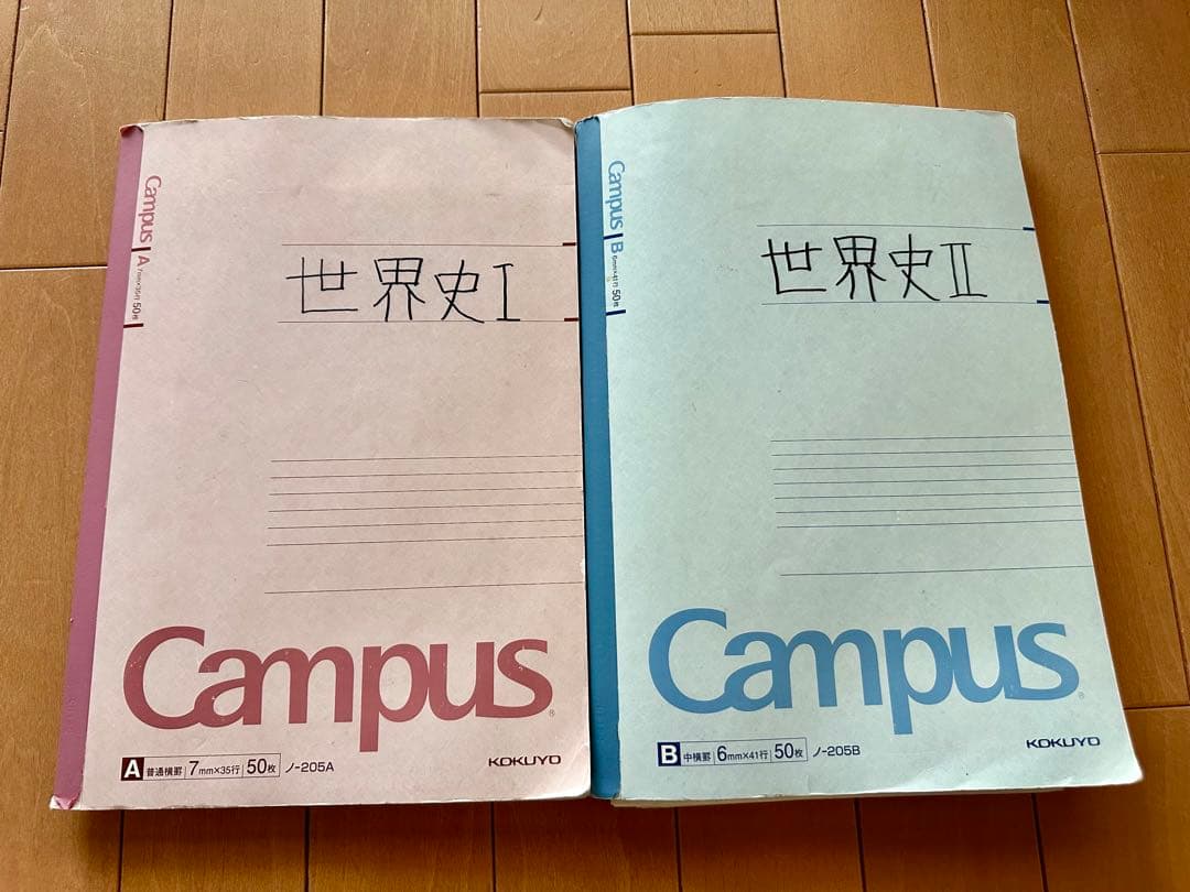 おまけ付き】河合塾 早慶大世界史 沼田ノート＋春・夏・秋・直前講習