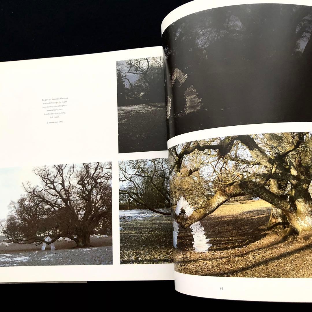 アンディー・ゴールズワージー 作品集「Wood」Andy Goldsworthy - メルカリ